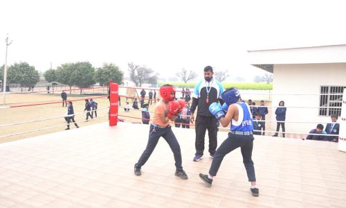 two students engaged in a boxing competition